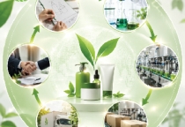 What Are OEM & ODM? Understanding the Difference