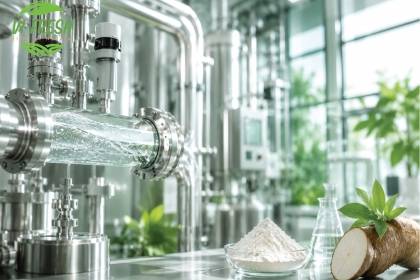 What Defines the Quality of Sorbitol Syrup 70% USP?