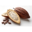 Cocoa